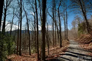 841 Blackthorne Ln, Arden, NC 28704 - Photo 19