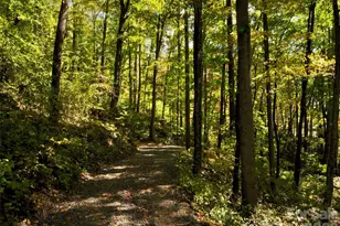 841 Blackthorne Ln, Arden, NC 28704 - Photo 21