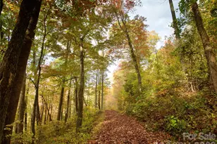 841 Blackthorne Ln, Arden, NC 28704 - Photo 7