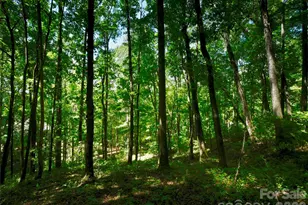 841 Blackthorne Ln, Arden, NC 28704 - Photo 23