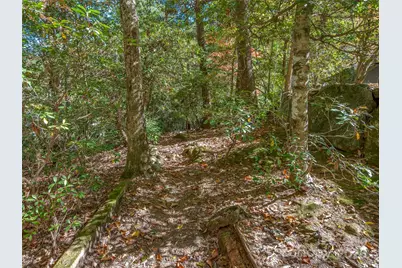 89 Memory Lane, Saluda, NC 28773 - Photo 35