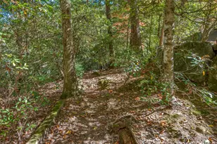 89 Memory Ln, Saluda, NC 28773 - Photo 35