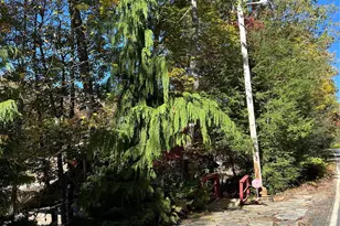 996 Halls Chapel Rd, Burnsville, NC 28714 - Photo 15