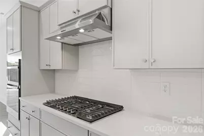 3679 Blue Pine Drive, Indian Land, SC 29707 - Photo 7