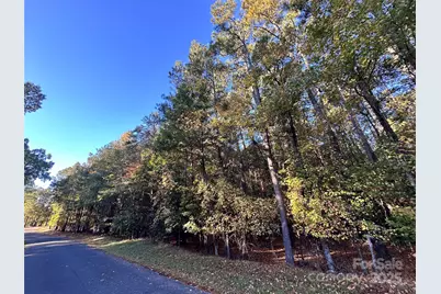 0000 Sand Tar Road, York, SC 29745 - Photo 11