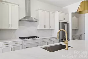 1081 Pinecone Ave, Indian Land, SC 29707 - Photo 9