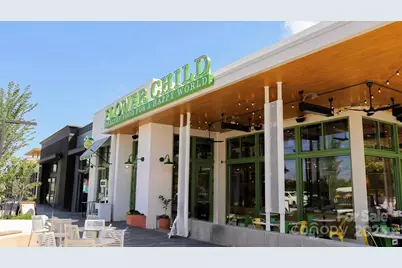 1081 Pinecone Avenue #213, Indian Land, SC 29707 - Photo 19