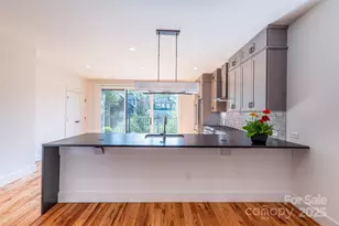 233 Broadway St, Asheville, NC 28801 - Photo 9