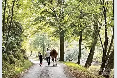 1.17 Acres 4805 Low Valley Way #Lot 956, Lenoir, NC 28645 - Photo 27