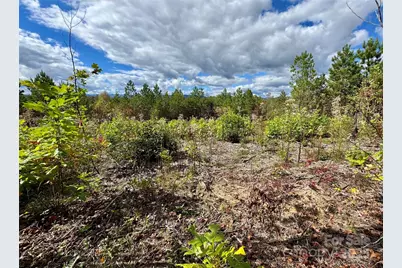 1.17 Acres 4805 Low Valley Way #Lot 956, Lenoir, NC 28645 - Photo 3