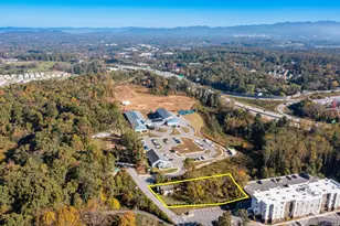 39 Rocky Ridge Rd, Asheville, NC 28806 - Photo 3