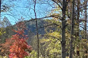 114 Orchard St, Old Fort, NC 28762 - Photo 11