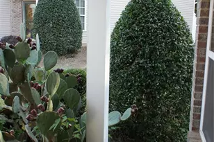 12027 Stratfield Pl Cir, Pineville, NC 28134 - Photo 3