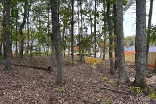 4442 Brancer Ln, Lincolnton, NC 28092 - Photo 11