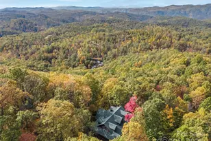 167 Mountain Vis Dr, Saluda, NC 28773 - Photo 21