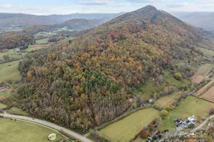 3114 New Leicester Hwy, Leicester, NC 28748 - Photo 27