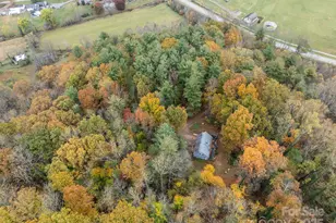 3114 New Leicester Hwy, Leicester, NC 28748 - Photo 29