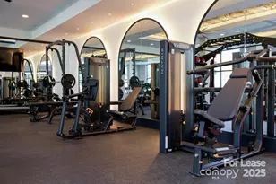 14011 Bespoke Rd, Charlotte, NC 28277 - Photo 11