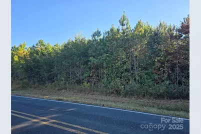 0 Moss Lane, New London, NC 28127 - Photo 3