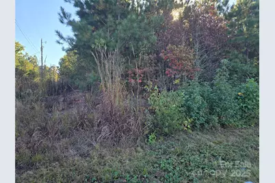 0 Moss Lane, New London, NC 28127 - Photo 5