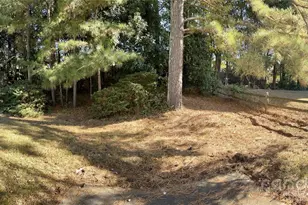 1225 Eagles Landing Dr, Charlotte, NC 28214 - Photo 25