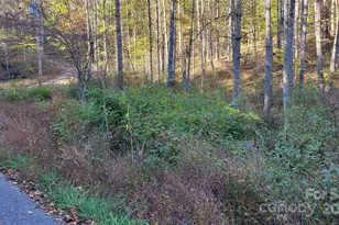 000 Cabin Hill Rd, Green Mountain, NC 28740 - Photo 3