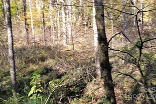 000 Cabin Hill Rd, Green Mountain, NC 28740 - Photo 11