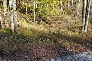 000 Cabin Hill Rd, Green Mountain, NC 28740 - Photo 5