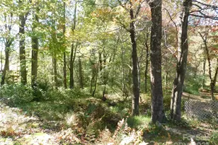 88 E Poplar Dr, Hendersonville, NC 28792 - Photo 17