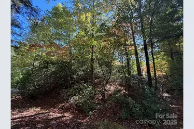 160 Caledonia Road, Landrum, SC 29356 - Photo 45