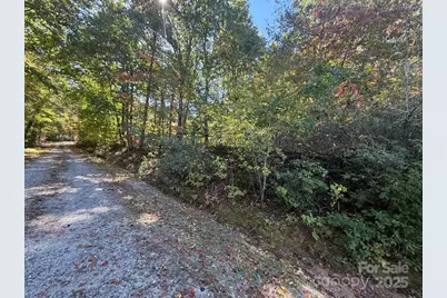 160 Caledonia Road, Landrum, SC 29356 - Photo 43