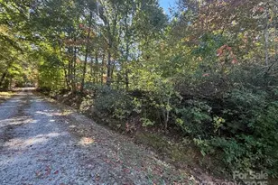 160 Caledonia Rd, Landrum, SC 29356 - Photo 43