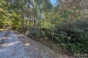 160 Caledonia Rd, Landrum, SC 29356 - Photo 41