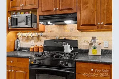 160 Caledonia Road, Landrum, SC 29356 - Photo 11