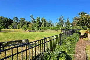 128 Van Gogh Trail, Mount Holly, NC 28120 - Photo 41