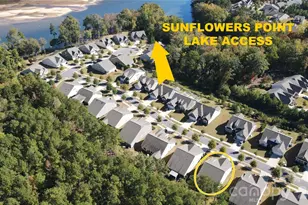 128 Van Gogh Trail, Mount Holly, NC 28120 - Photo 3