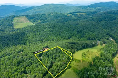 000 Sassafras Drive, Little Switzerland, NC 28777 - Photo 5