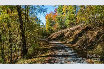 000 Sassafras Drive, Little Switzerland, NC 28777 - Photo 3
