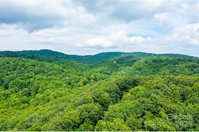 000 Sassafras Drive, Little Switzerland, NC 28777 - Photo 7