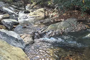 9 Smokey Cove Rd, Canton, NC 28716 - Photo 9