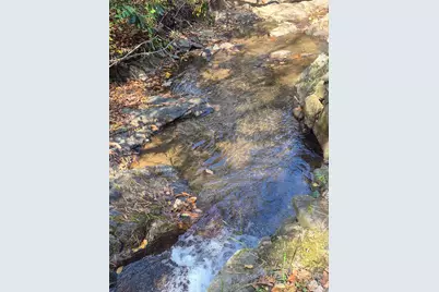 9 Smokey Cove Road, Canton, NC 28716 - Photo 7