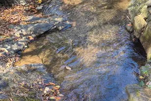 9 Smokey Cove Rd, Canton, NC 28716 - Photo 7