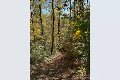 28 Cadillac Pointe, Waynesville, NC 28785 - Photo 19