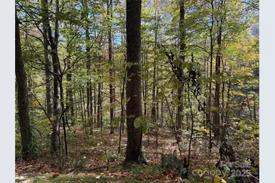 28 Cadillac Pointe, Waynesville, NC 28785 - Photo 15