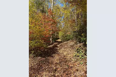 28 Cadillac Pointe, Waynesville, NC 28785 - Photo 21