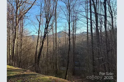 28 Cadillac Pointe, Waynesville, NC 28785 - Photo 5