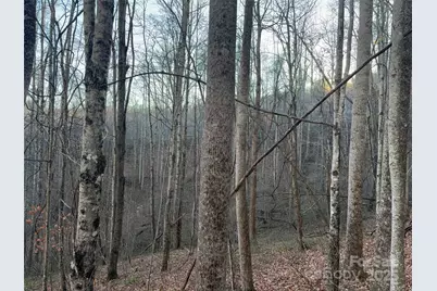 28 Cadillac Pointe, Waynesville, NC 28785 - Photo 11