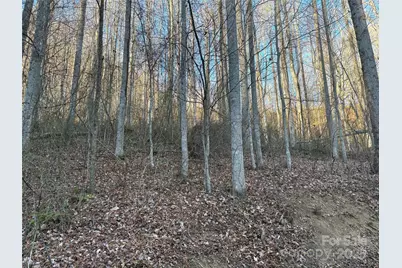 28 Cadillac Pointe, Waynesville, NC 28785 - Photo 3