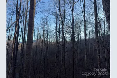 28 Cadillac Pointe, Waynesville, NC 28785 - Photo 9