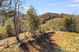 Tbd Day Book Dr, Burnsville, NC 28714 - Photo 25